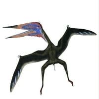 Zhejiangopterus е бил месояден птерозавър динозавър, който е живял в Китай по време на отпечатъка на плаката на Креда