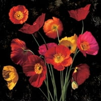 Poppy Bouquet II от John Seba Fine Art Poster Print от John Seba