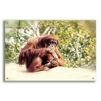 Епично изкуство „Орангутан“ от Дебра Ван Суеринген, изкуство за акрилно стъкло, 36 x24