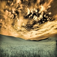-Кашингтън държавно-палусно-пшенично поле и облаци печат на плакати-Тери Егърс