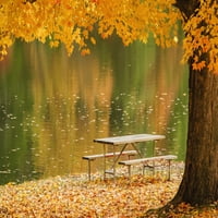 Масата за пикник до спокойно езеро със златни листа по дърветата през есента, държавен парк Шоуни; Охайо, САЩ от печат на плакат